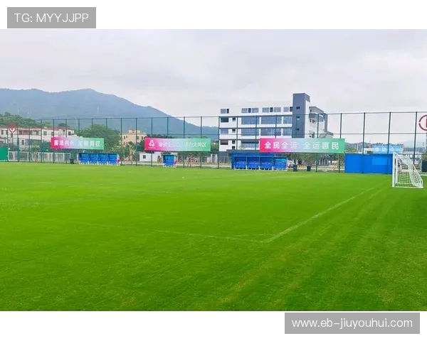 深度解析绿茵场上制胜关键全面揭示足球运动的训练与战术秘诀